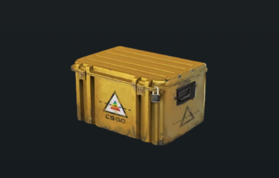 棱彩｜武器补给箱￥48.96